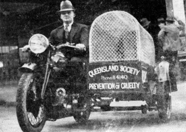 One of the first RSPCA Queensland Inspectors riding a motorbike with a side car being an animal cage.
